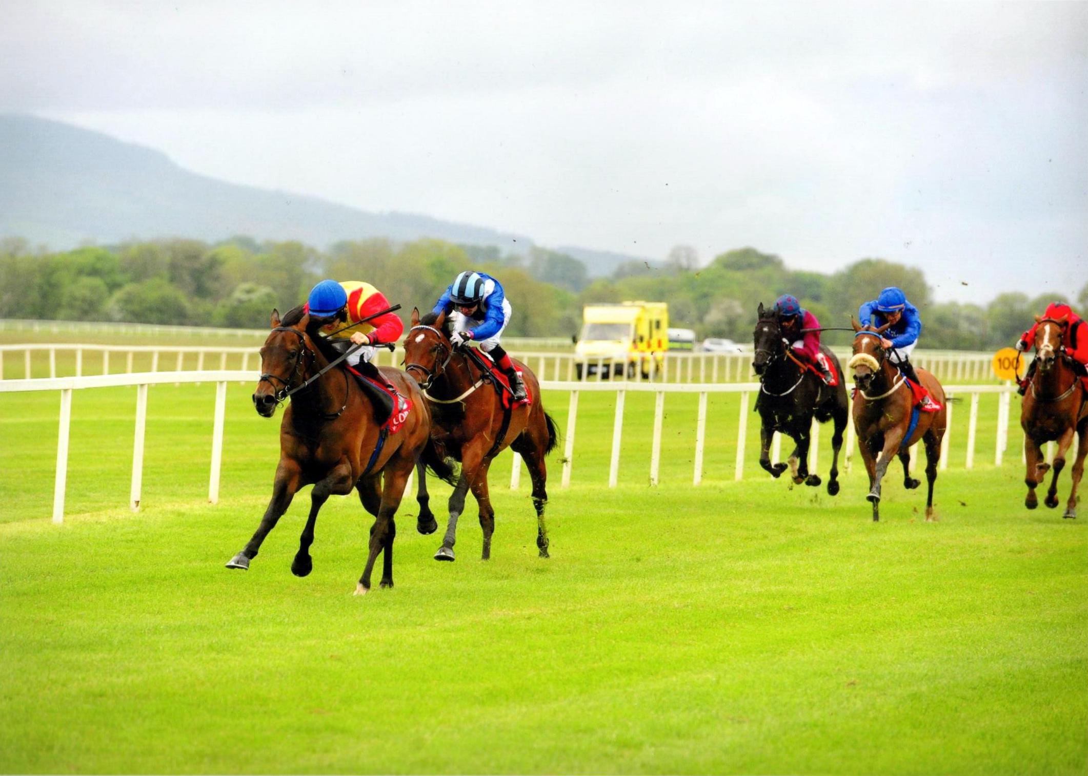 MITTERSILL sheds his maiden tag at Cork 20 May 2016